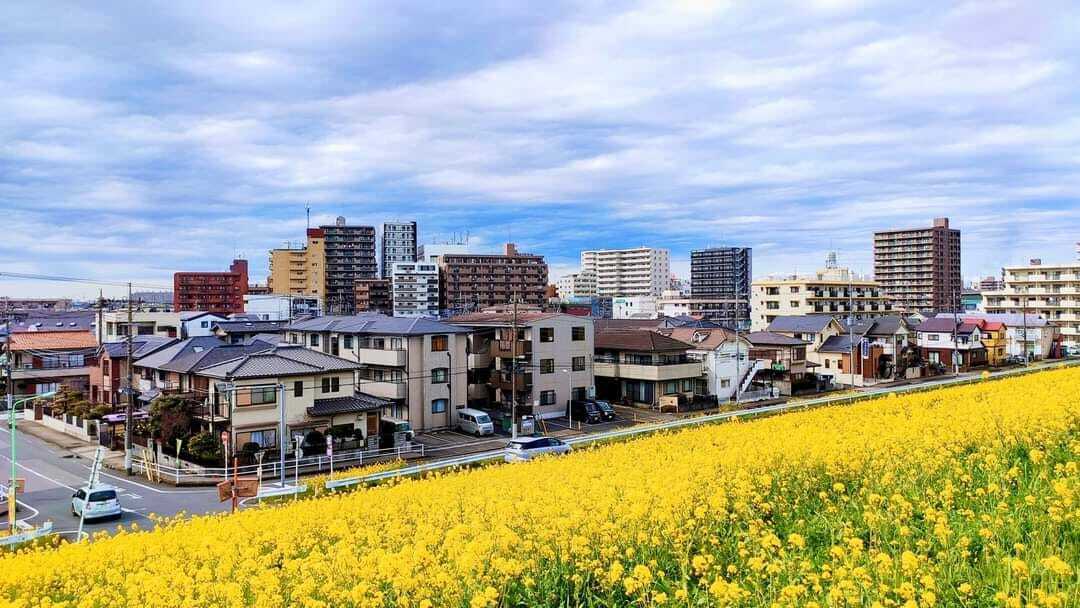 Huyen_Test_0703_hanpukai2_1回目のみ