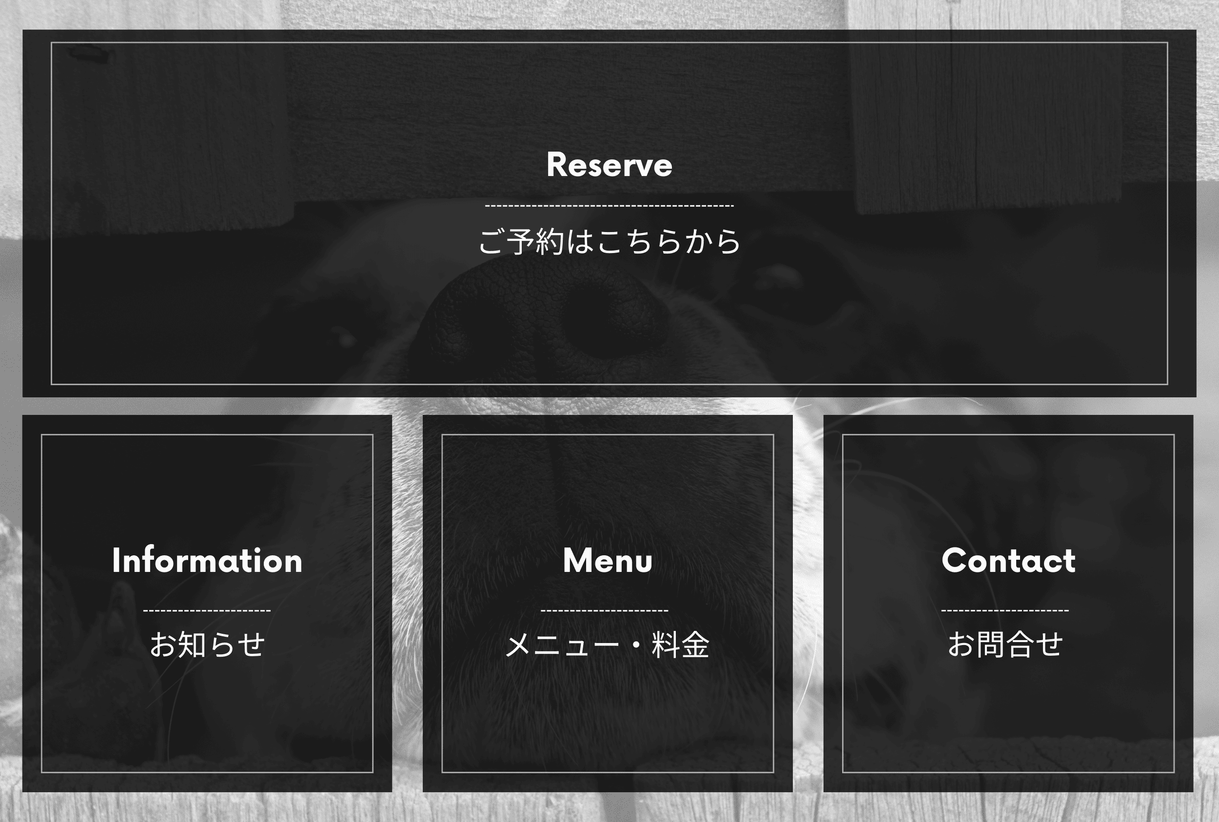 test_定期_0702_Chups_新規作成_2