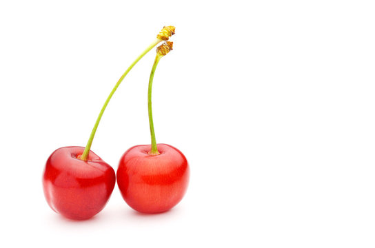 若泉テストA_単品