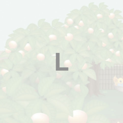 20240709_藤井_単品（規格あり） サイズ: L